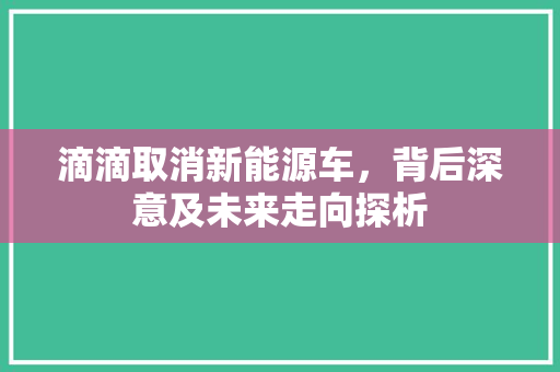 滴滴取消新能源车，背后深意及未来走向探析