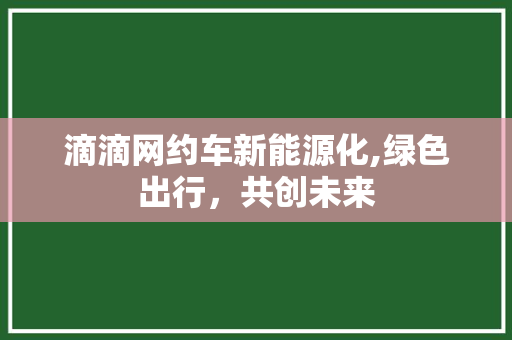 滴滴网约车新能源化,绿色出行，共创未来