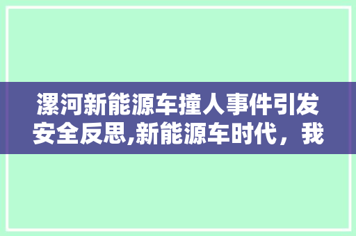 漯河新能源车撞人事件引发安全反思,新能源车时代，我们该如何守护生命