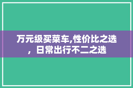 万元级买菜车,性价比之选，日常出行不二之选