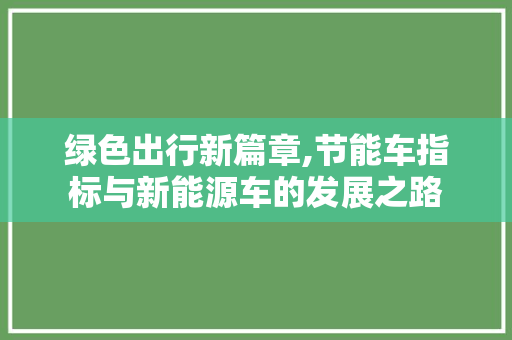 绿色出行新篇章,节能车指标与新能源车的发展之路