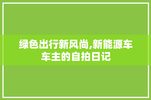 绿色出行新风尚,新能源车车主的自拍日记