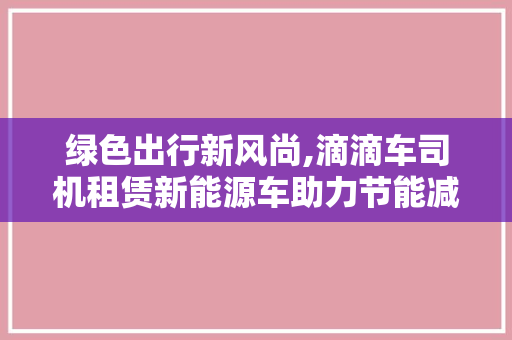 绿色出行新风尚,滴滴车司机租赁新能源车助力节能减排