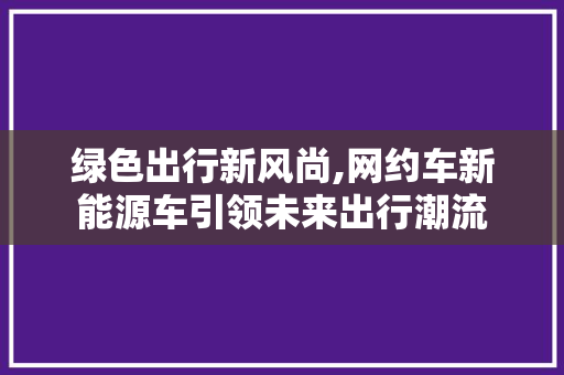 绿色出行新风尚,网约车新能源车引领未来出行潮流