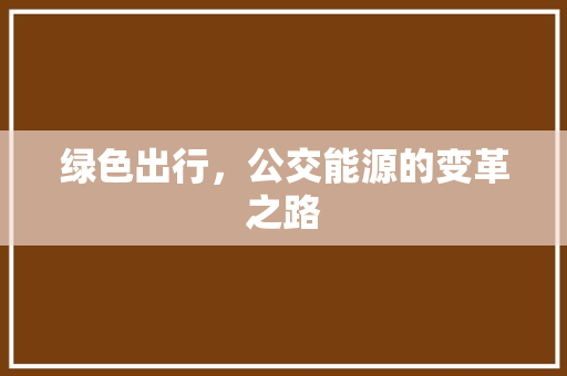 绿色出行，公交能源的变革之路