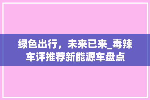 绿色出行，未来已来_毒辣车评推荐新能源车盘点