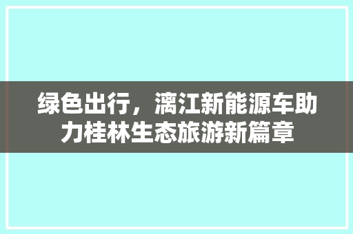 绿色出行，漓江新能源车助力桂林生态旅游新篇章