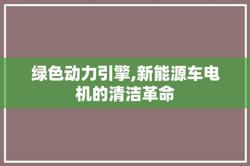 绿色动力引擎,新能源车电机的清洁革命