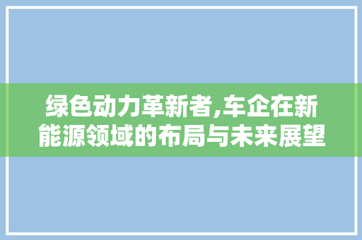 绿色动力革新者,车企在新能源领域的布局与未来展望