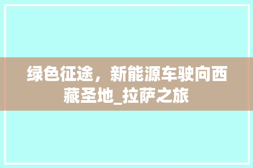 绿色征途，新能源车驶向西藏圣地_拉萨之旅