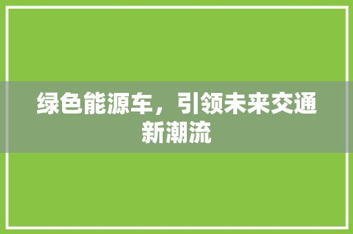 绿色能源车，引领未来交通新潮流