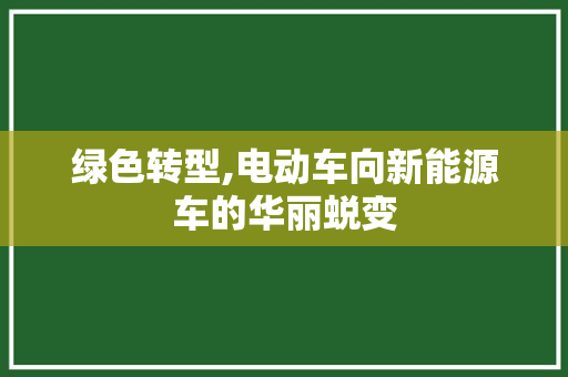 绿色转型,电动车向新能源车的华丽蜕变