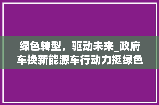 绿色转型，驱动未来_政府车换新能源车行动力挺绿色出行