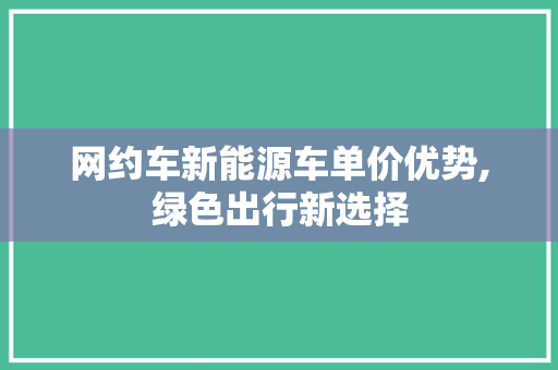 网约车新能源车单价优势,绿色出行新选择