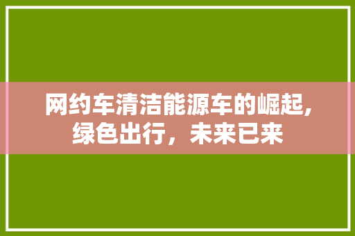 网约车清洁能源车的崛起,绿色出行，未来已来