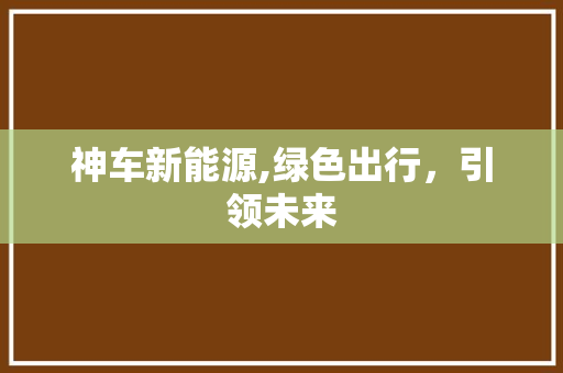 神车新能源,绿色出行，引领未来