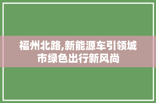 福州北路,新能源车引领城市绿色出行新风尚