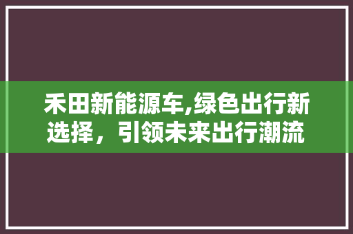 禾田新能源车,绿色出行新选择，引领未来出行潮流