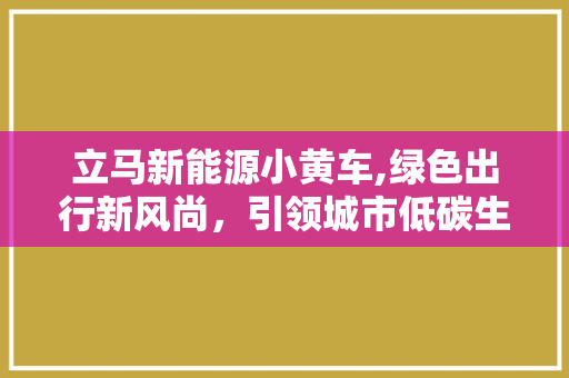 立马新能源小黄车,绿色出行新风尚，引领城市低碳生活