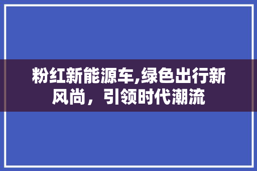 粉红新能源车,绿色出行新风尚，引领时代潮流