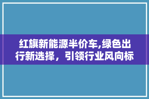 红旗新能源半价车,绿色出行新选择，引领行业风向标
