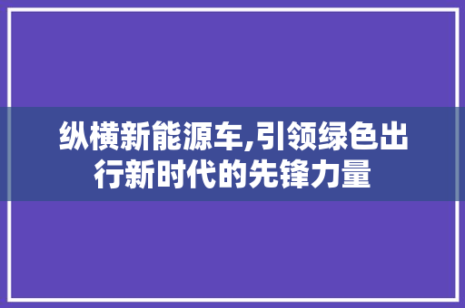 纵横新能源车,引领绿色出行新时代的先锋力量