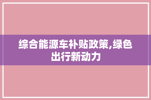 综合能源车补贴政策,绿色出行新动力