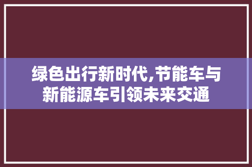 绿色出行新时代,节能车与新能源车引领未来交通