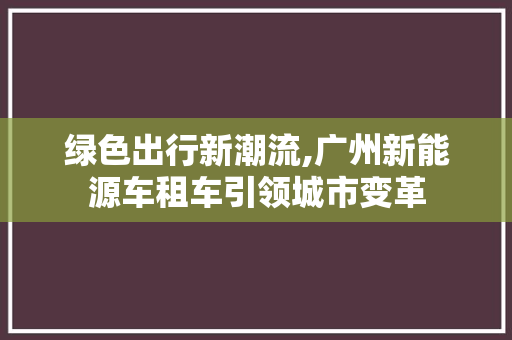 绿色出行新潮流,广州新能源车租车引领城市变革