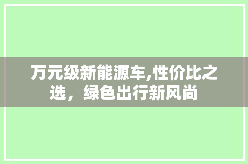 万元级新能源车,性价比之选，绿色出行新风尚