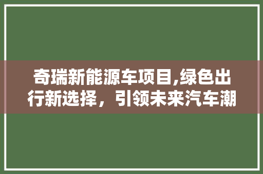 奇瑞新能源车项目,绿色出行新选择，引领未来汽车潮流