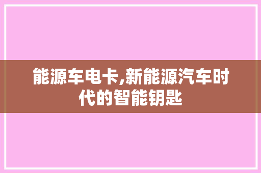 能源车电卡,新能源汽车时代的智能钥匙