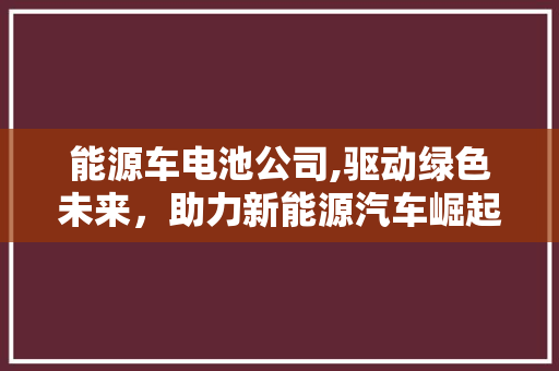 能源车电池公司,驱动绿色未来，助力新能源汽车崛起