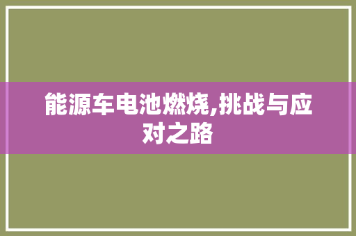 能源车电池燃烧,挑战与应对之路