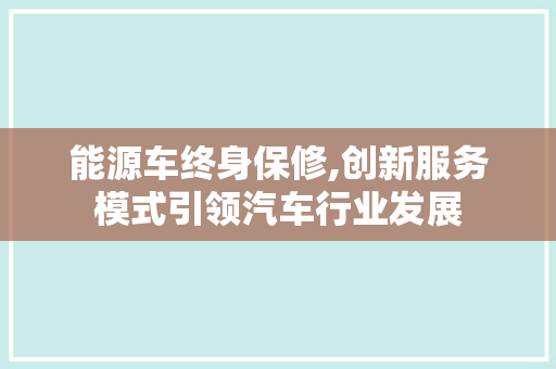 能源车终身保修,创新服务模式引领汽车行业发展
