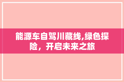 能源车自驾川藏线,绿色探险，开启未来之旅