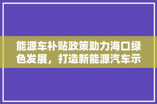 能源车补贴政策助力海口绿色发展，打造新能源汽车示范城市