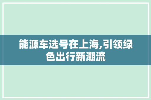 能源车选号在上海,引领绿色出行新潮流