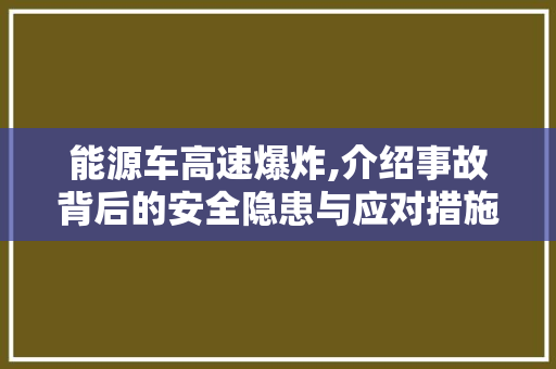 能源车高速爆炸,介绍事故背后的安全隐患与应对措施