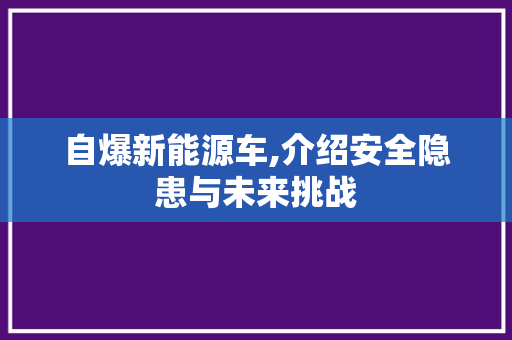自爆新能源车,介绍安全隐患与未来挑战