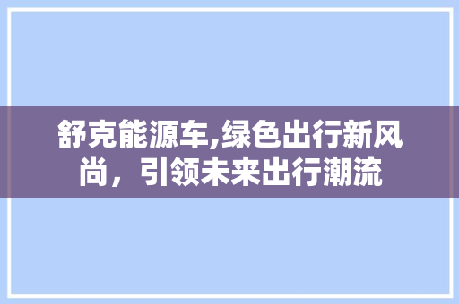 舒克能源车,绿色出行新风尚，引领未来出行潮流
