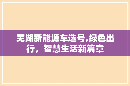芜湖新能源车选号,绿色出行，智慧生活新篇章