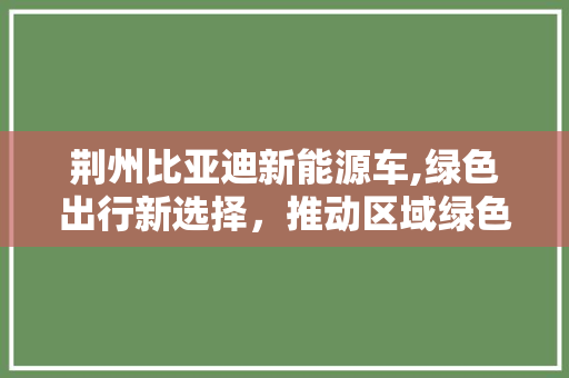 荆州比亚迪新能源车,绿色出行新选择，推动区域绿色发展