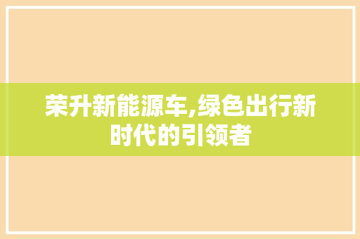 荣升新能源车,绿色出行新时代的引领者