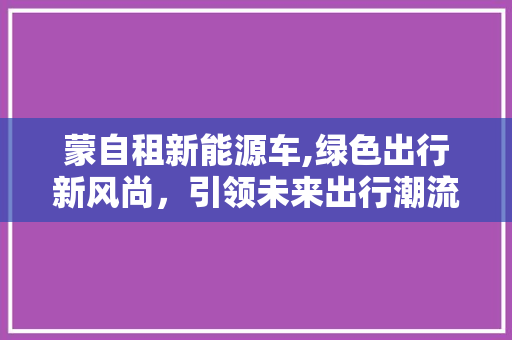 蒙自租新能源车,绿色出行新风尚，引领未来出行潮流