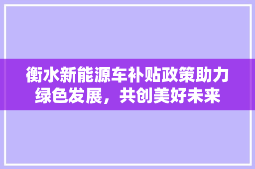 衡水新能源车补贴政策助力绿色发展，共创美好未来