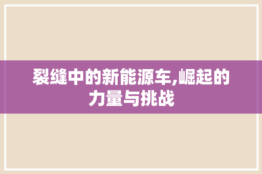裂缝中的新能源车,崛起的力量与挑战
