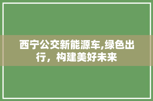 西宁公交新能源车,绿色出行，构建美好未来