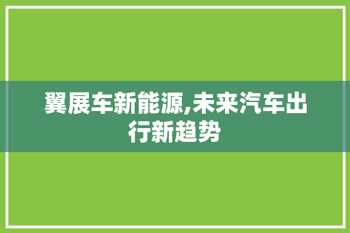翼展车新能源,未来汽车出行新趋势