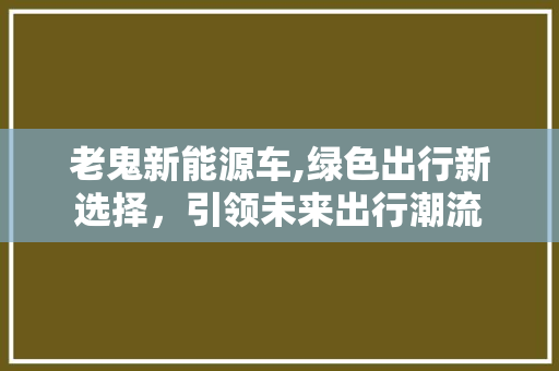 老鬼新能源车,绿色出行新选择，引领未来出行潮流